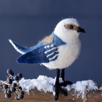 Wool Blue Warbler