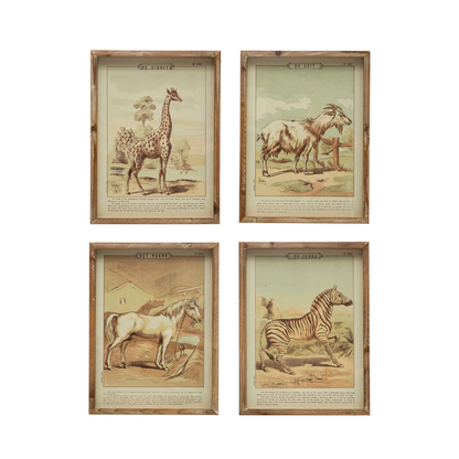 Wall Décor w/ Animal