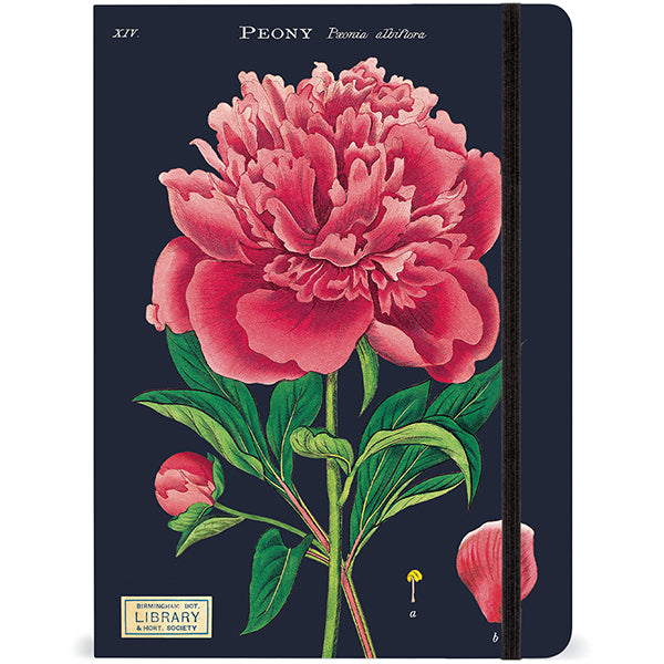 Notebooks