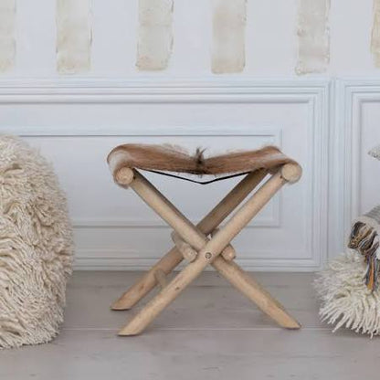 Folding Stool