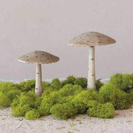 Carved Mushroom w/ Dots