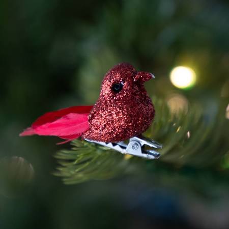 Bird Ornaments