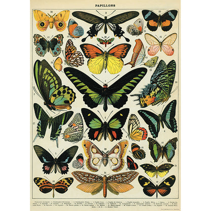 Framed Wall Art Poster – 20” x 28” with Vintage-Inspired Hanging Kit