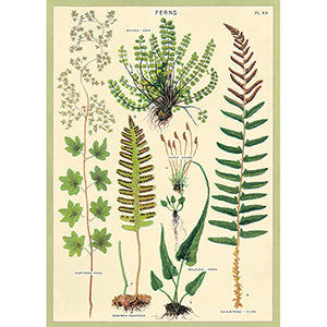 Framed Wall Art Poster – 20” x 28” with Vintage-Inspired Hanging Kit