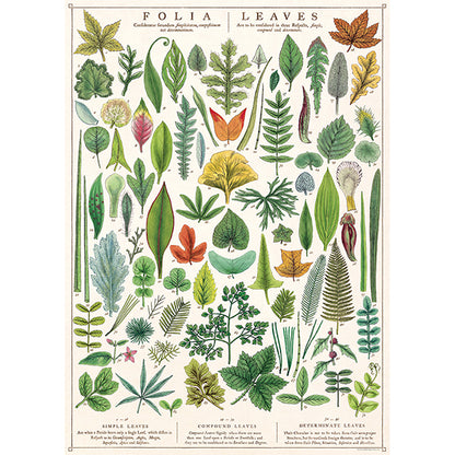 Framed Wall Art Poster – 20” x 28” with Vintage-Inspired Hanging Kit