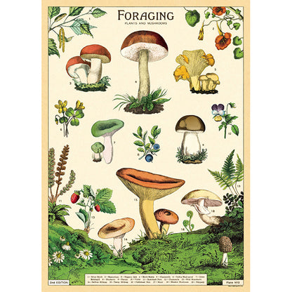 Framed Wall Art Poster – 20” x 28” with Vintage-Inspired Hanging Kit