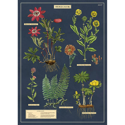 Framed Wall Art Poster – 20” x 28” with Vintage-Inspired Hanging Kit