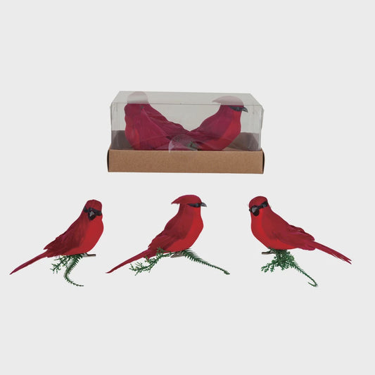 Feather Cardinal Clip-on Ornaments
