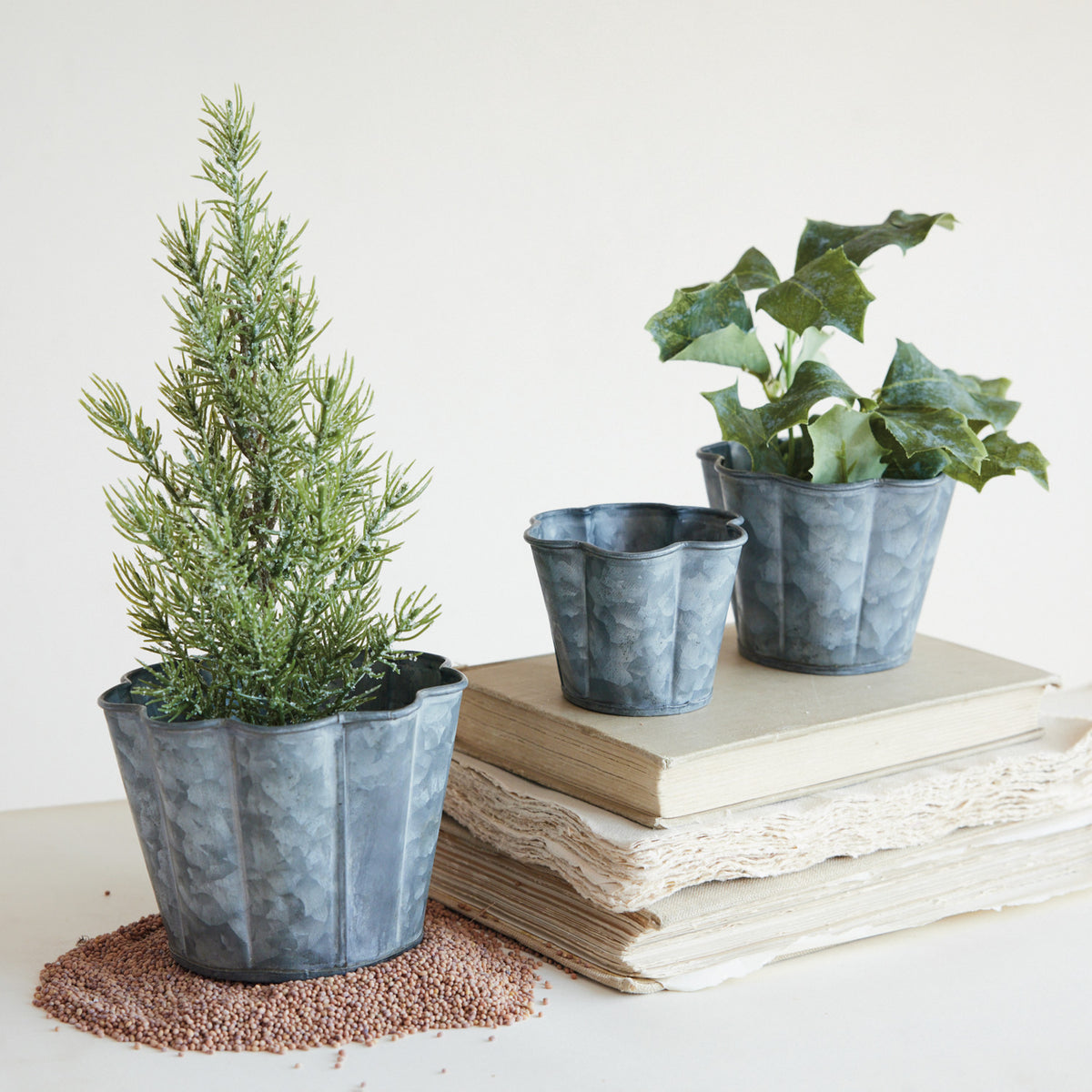 Scalloped Planters