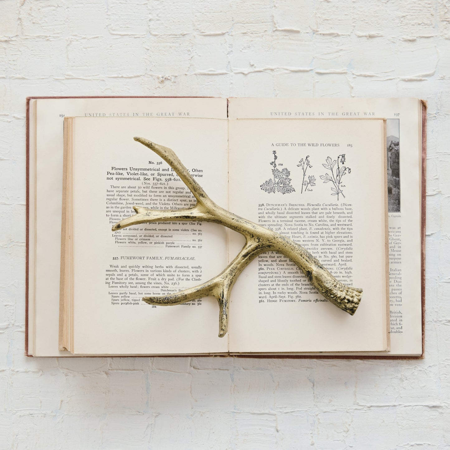Cast Iron Antler