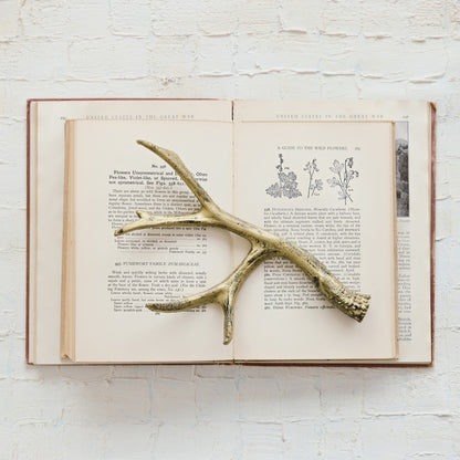 Cast Iron Antler