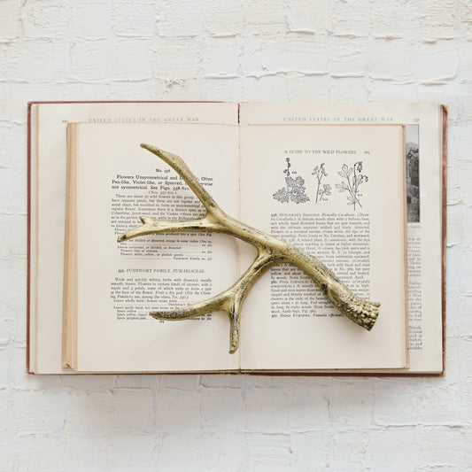 Cast Iron Antler